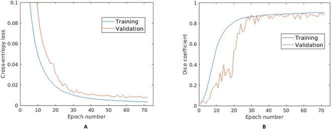 AwnImageAnalysisandPhenotypingUsingBarbNet使用BarbNet進(jìn)行芒的圖像分析和表型分析