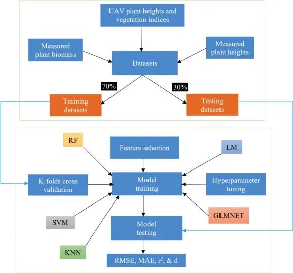 無人機(jī)( UAV )成像和機(jī)器學(xué)習(xí)在植物表型中的應(yīng)用