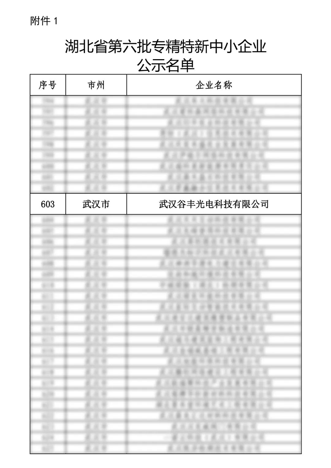 谷豐光電榮獲湖北省第六批專精特新中小企業(yè)認(rèn)定！