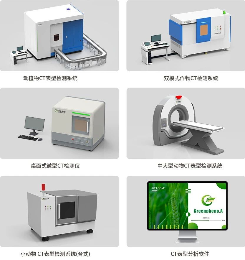 動(dòng)植物CT表型檢測(cè)系統(tǒng)